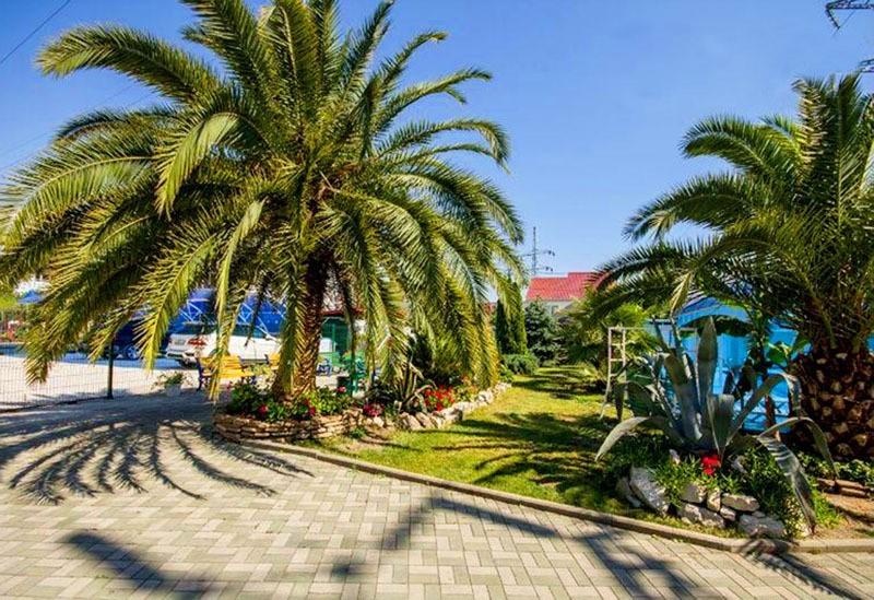 Зеленый Попугай