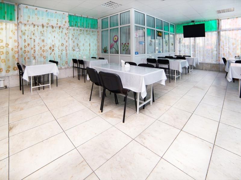 Зеленый Попугай