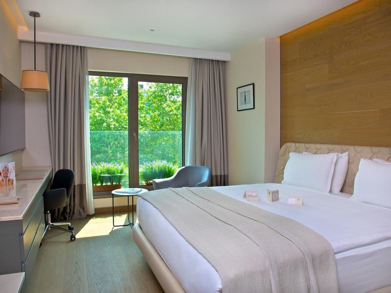 Dosso Dossi Hotels Downtown