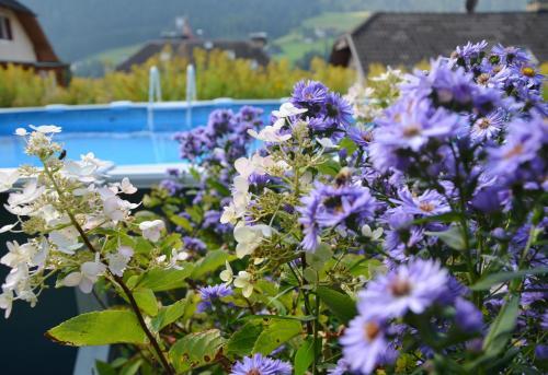 AppartChalet La Rondula & Garden