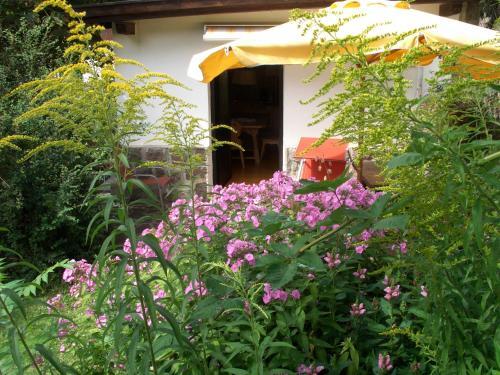 AppartChalet La Rondula & Garden