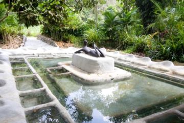 Отель Wareerak Hot Spring Retreat by Vacation Village Таиланд, Краби, фото 36