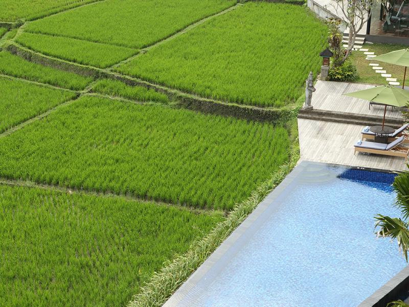 Plataran Ubud Hotel & Spa