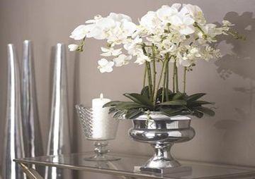 Comfort Hotel Esplanaden