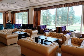 Отель Парк-отель АЯ Россия, Алтайский край, фото 9