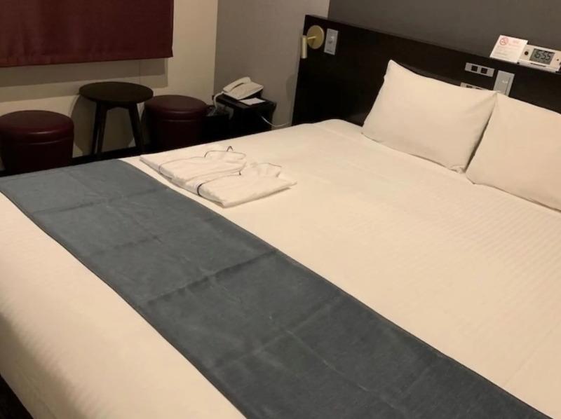 Hotel Villa Fontaine Tokyo - Kudanshita