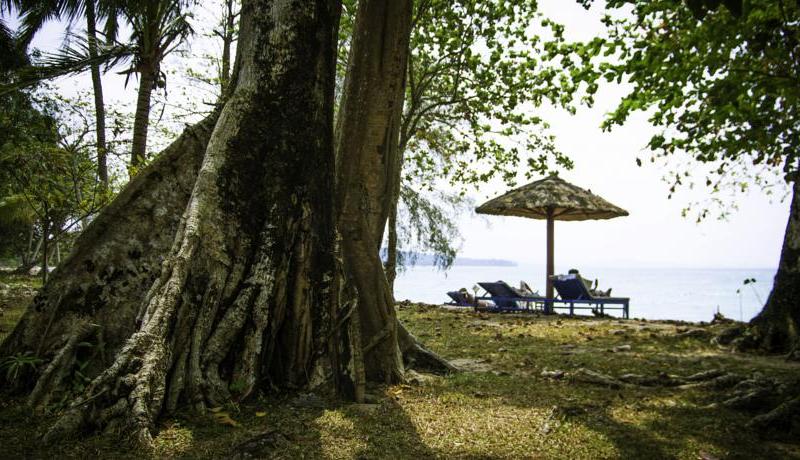 Bamboo Cottages & Restaurant