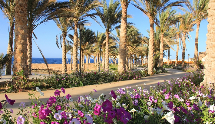 Brayka Lagoon Resort