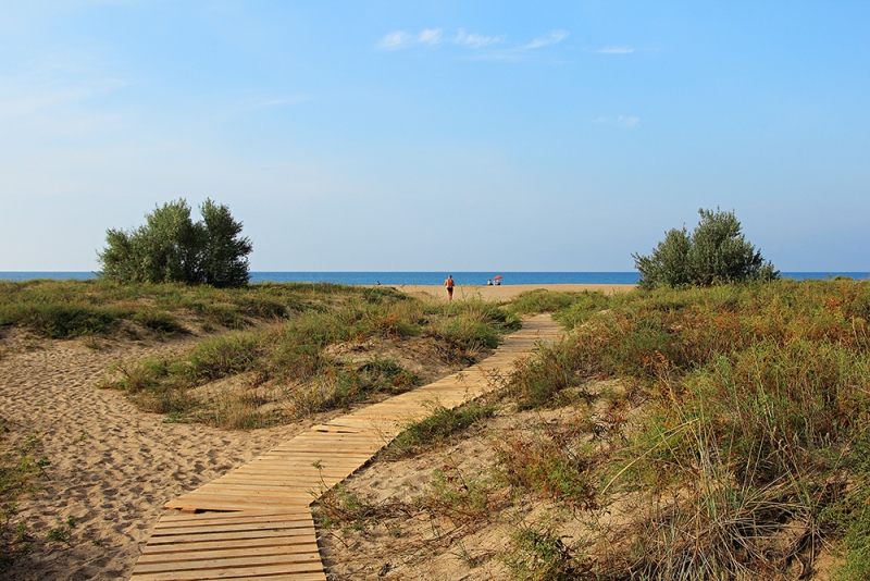 ЭКО-курорт НОМЕР ОДИН