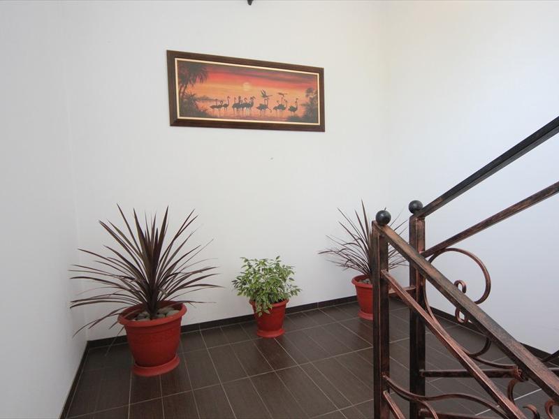 Papaya Park Hotel