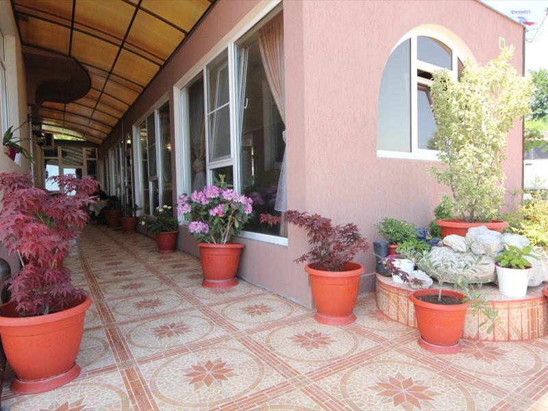 Papaya Park Hotel