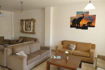 Отель Florea Hotel Apartments Кипр, Айя-Напа, фото 2