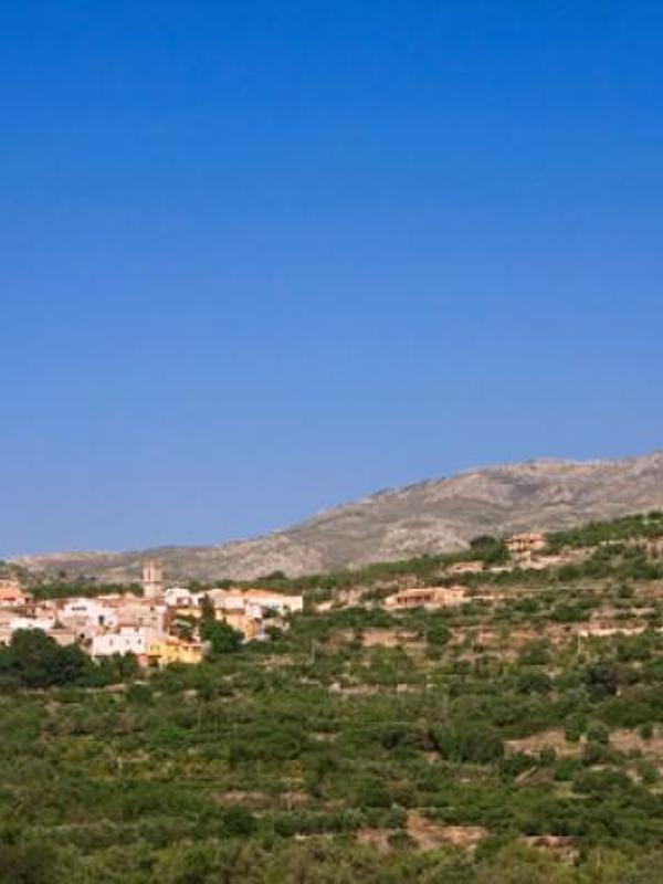 Alahuar