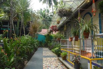 Отель Zappia Cove Guest House Индия, Палолем, фото 2