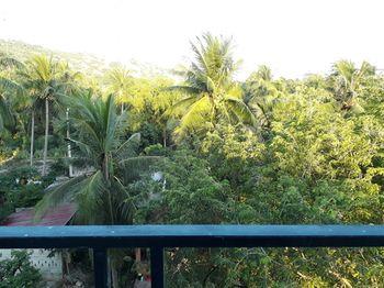 Cat Tien Guest House