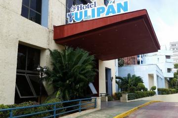 Отель Tulipan Куба, Гавана, фото 1