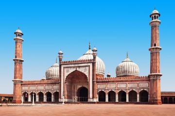 Отель TJS Royale Индия, Дели, фото 10