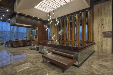 Отель Hilton Garden Inn Istanbul Ataturk Airport Турция, Бахчелиэвлер, фото 14