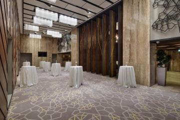 Отель Hilton Garden Inn Istanbul Ataturk Airport Турция, Бахчелиэвлер, фото 18