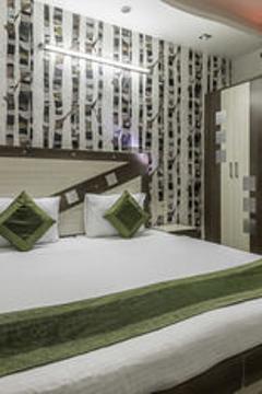 Отель Hotel Rockwell Plaza Индия, Дели, фото 14