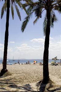 Globales Condes de Alcudia