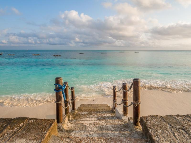 Spice Tree by Turaco