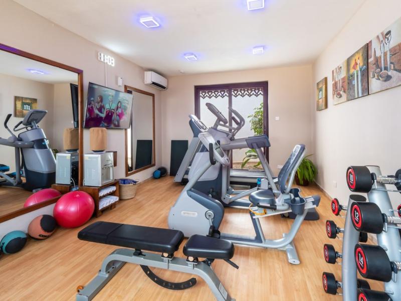 Spice Tree by Turaco