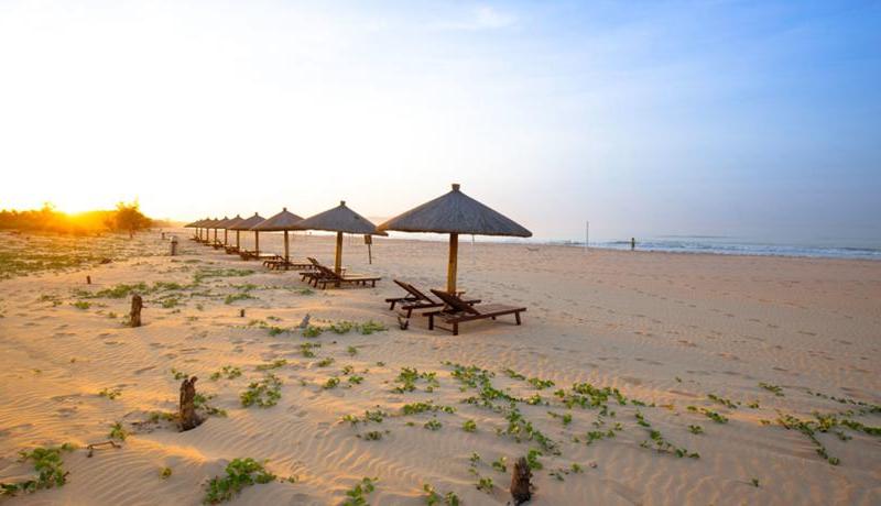 Aloha Oceanfront Suite Resort