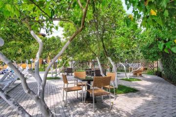 Отель Отель Папа Абхазия, Гудаута, фото 8