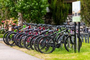 Отель Lopota Lake Resort & Spa Грузия, Телави, фото 16