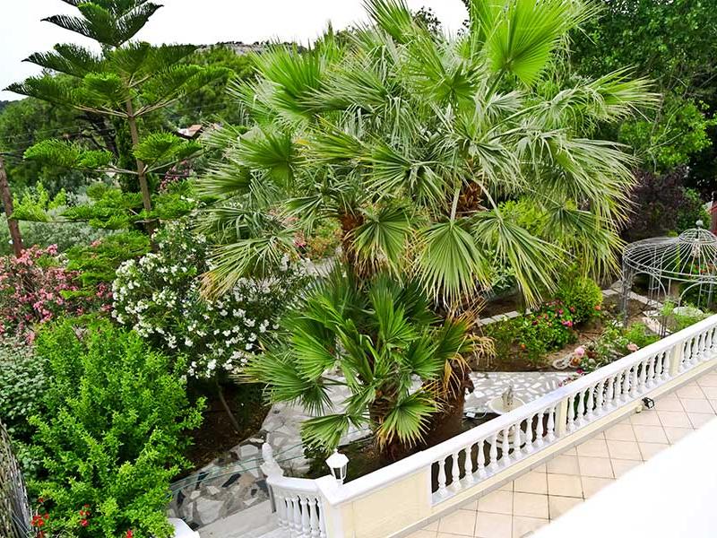 Villa Small Paradise