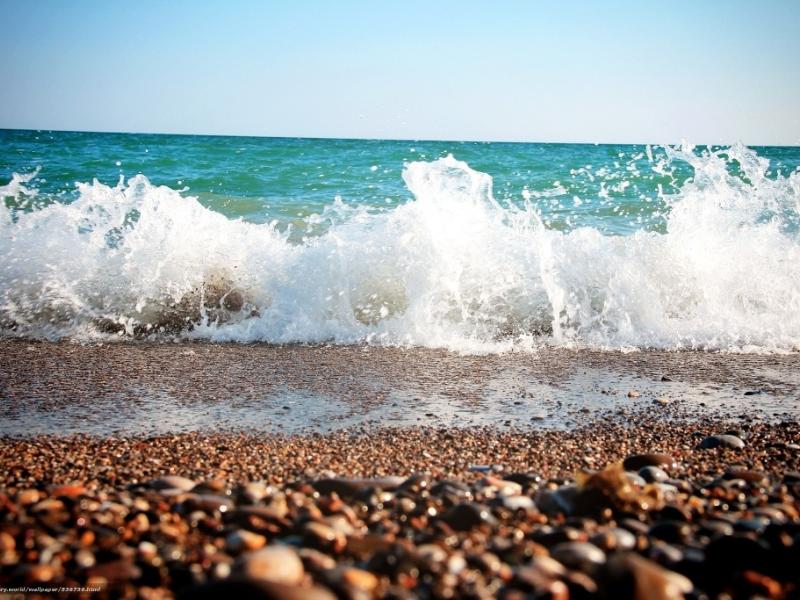 Медведь Resort