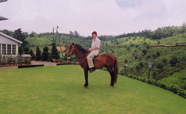 Heritance Tea Factory