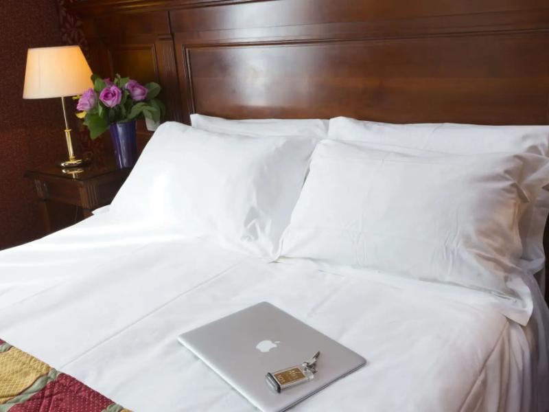 Hotel Niel