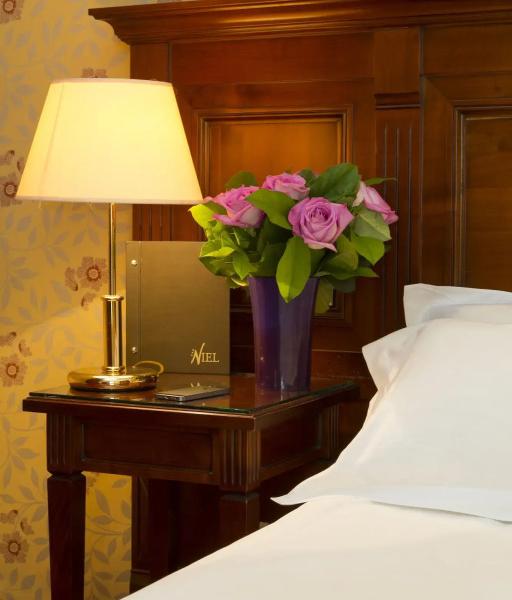 Hotel Niel
