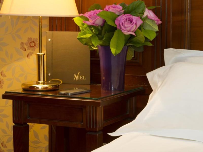 Hotel Niel