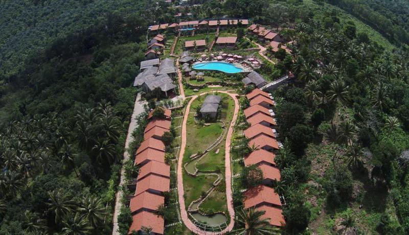 Daisy Resort