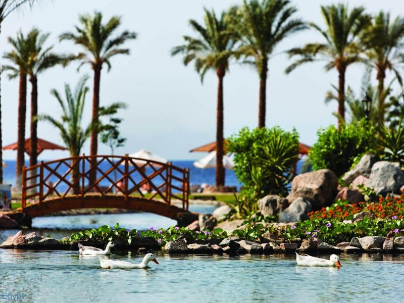 Movenpick Resort Taba Hotel