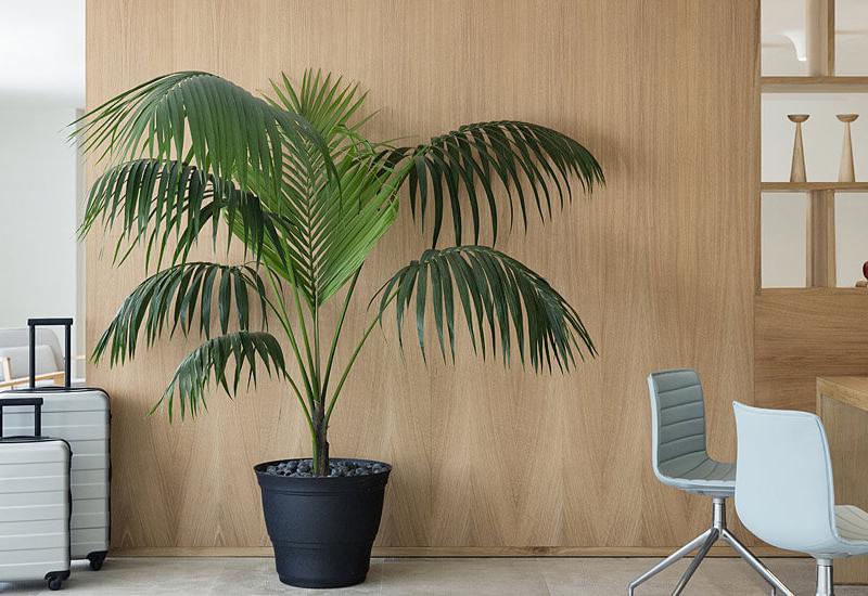 Finest Playa Mujeres