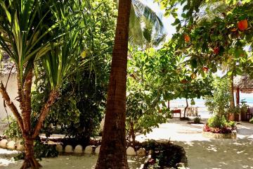 Отель Sea View Lodge Танзания, Джамбиани, фото 27