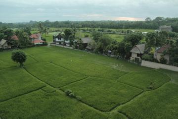 Отель The Evitel Resort Ubud Индонезия, о Бали, фото 14