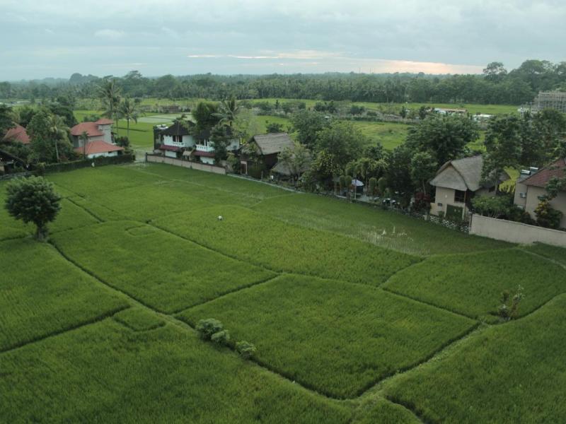 The Evitel Resort Ubud