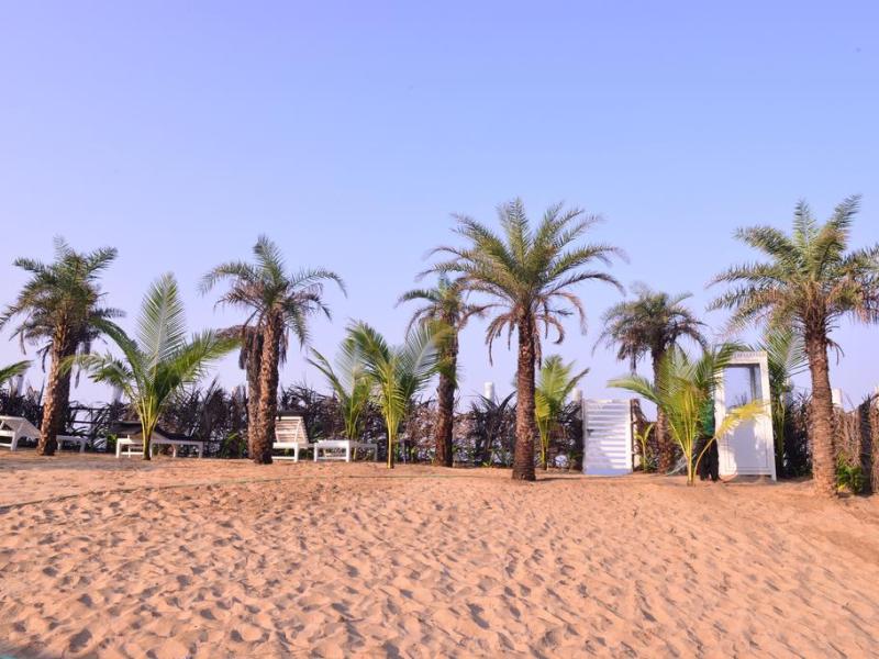 Majestic Beach Comforts