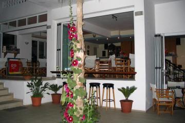 Отель Emerald Hotel Греция, о. Крит-Ираклион, фото 6