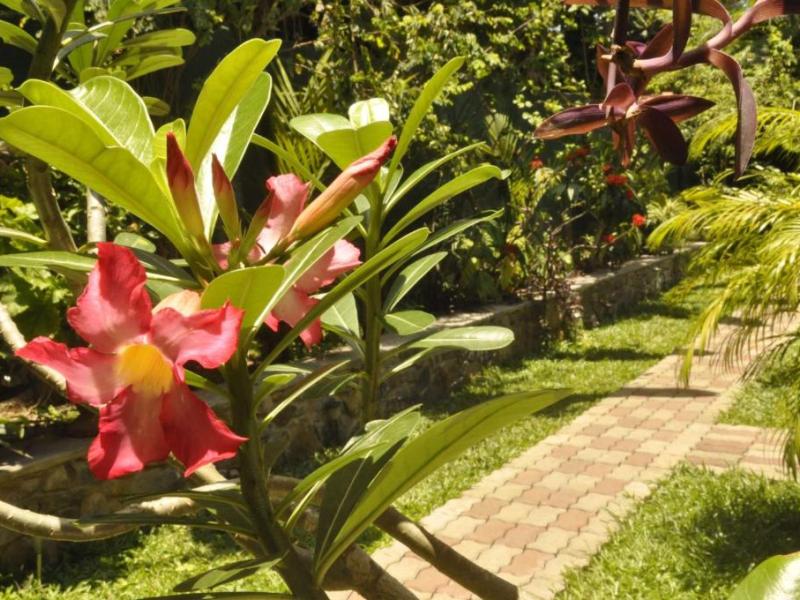 Green Villa Unawatuna