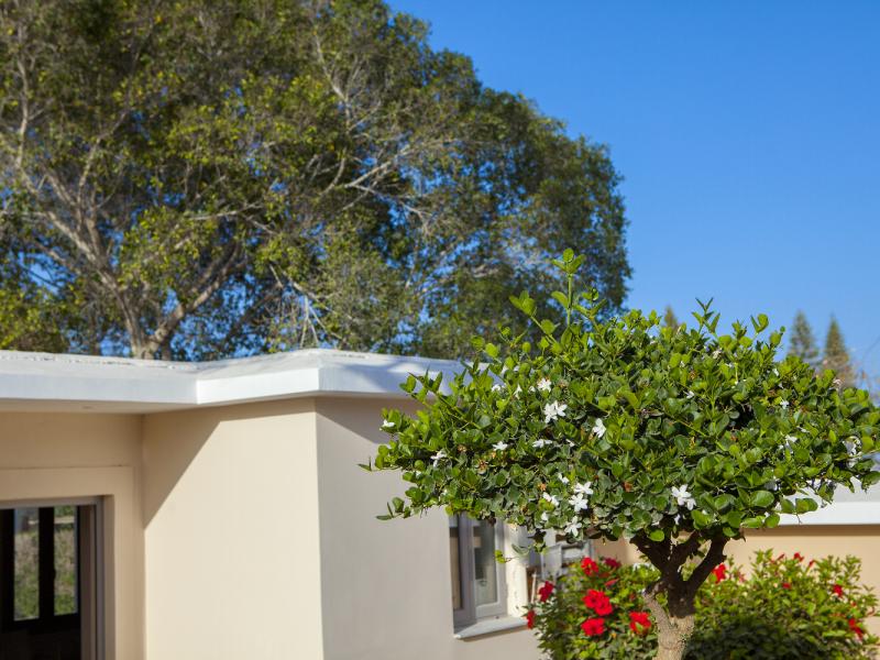 Louis St. Elias Resort