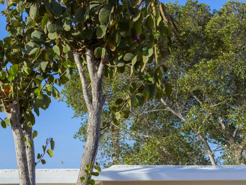 Louis St. Elias Resort