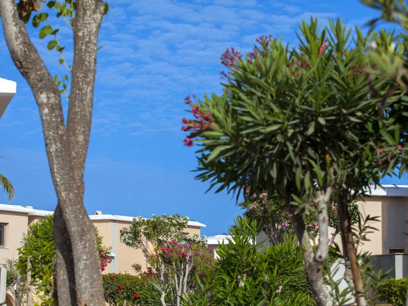 Louis St. Elias Resort