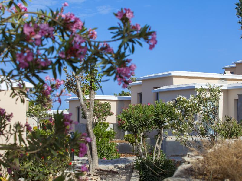 Louis St. Elias Resort