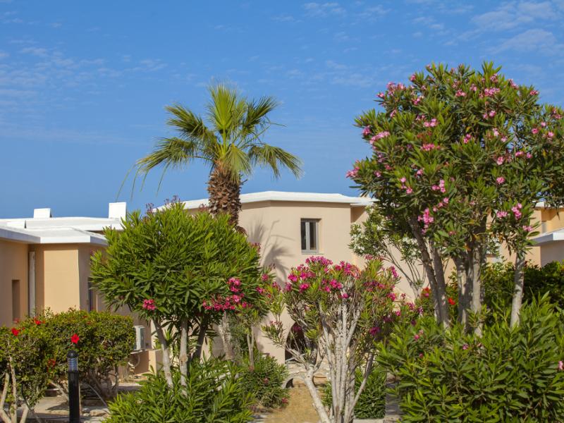 Louis St. Elias Resort